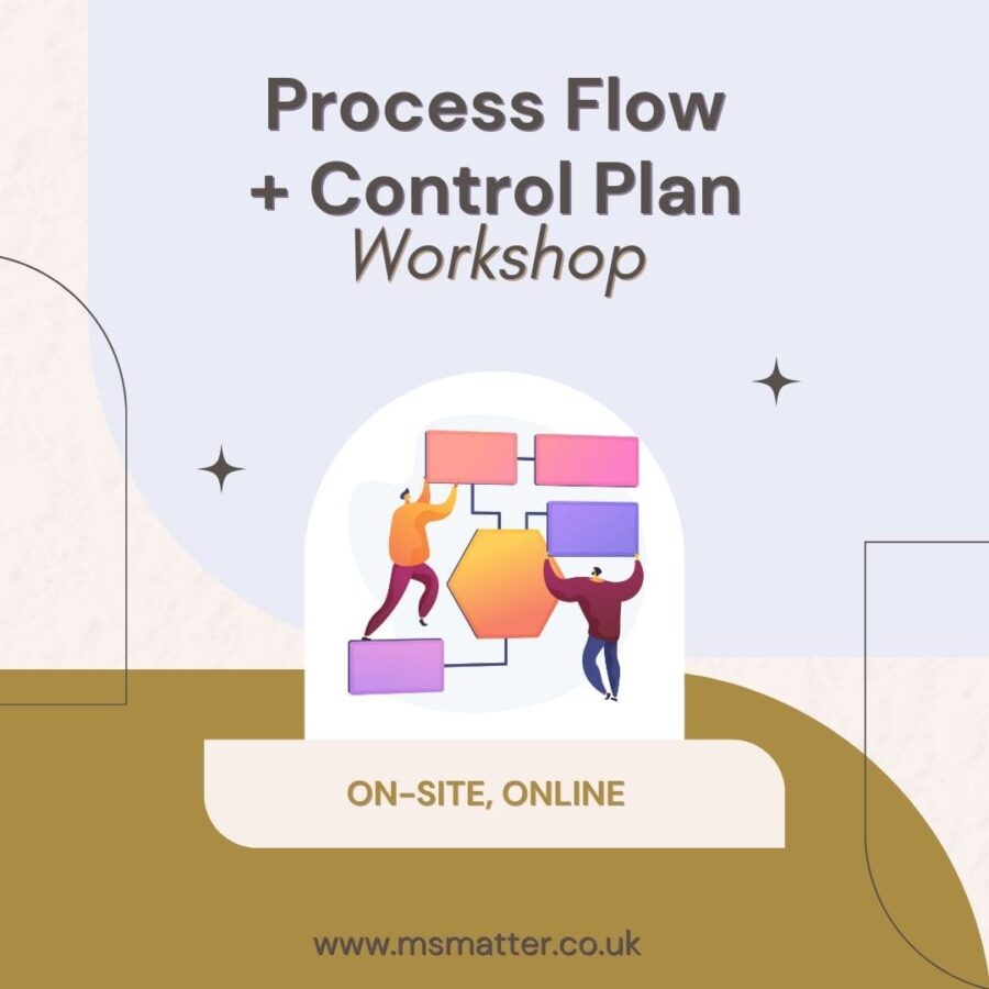 Proces Flow and Control Plan Workshop
